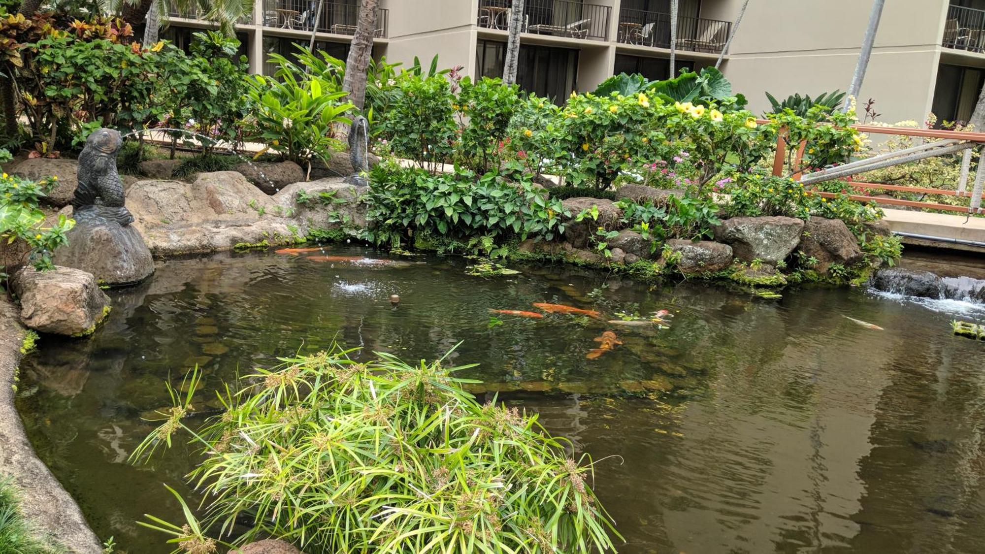 Maui Westside Presents: Kaanapali Shores 733 Stunning Ocean Views New Listing Lahaina Εξωτερικό φωτογραφία